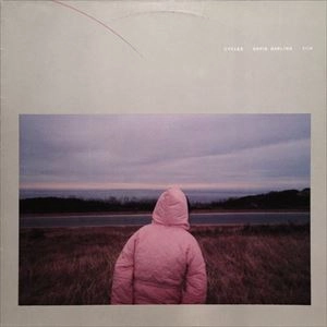 DAVID DARLING / デヴィッド・ダーリング / CYCLES