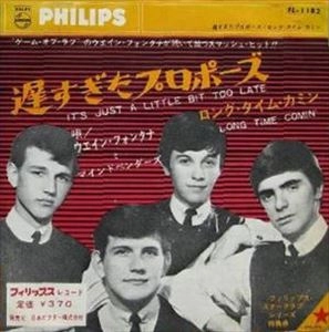 WAYNE FONTANA & THE MINDBENDERS / ウェイン・フォンタナ・アンド・ザ・マインドベンダーズ / 遅すぎたプロポーズ