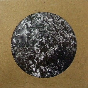 COPPICE HALIFAX / SPRING BLEND
