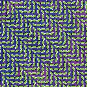 ANIMAL COLLECTIVE / アニマル・コレクティヴ / MERRIWEATHER POST PAVILION