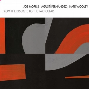 JOE MORRIS / ジョー・モリス / FROM THE DISCRETE TO THE PARTICULAR