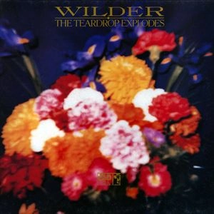 TEARDROP EXPLODES / ティアドロップ・エクスプローズ  / WILDER