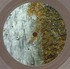 BOVILL / ANALOGUE MAPPING