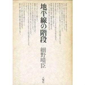 HARUOMI HOSONO / 細野晴臣 / 地平線の階段