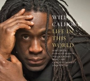 WILL CALHOUN / ウィル・カルホーン / LIFE IN THIS WORLD