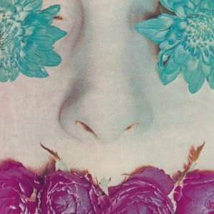 SULK / Graceless UK盤 LPレコード シューゲイザー 希少盤 GRACELESS / SULK / ロック・ポップス・インディーロック | ディスク