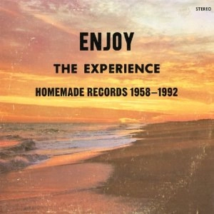 V.A. / ENJOY: THE EXPERIENCE