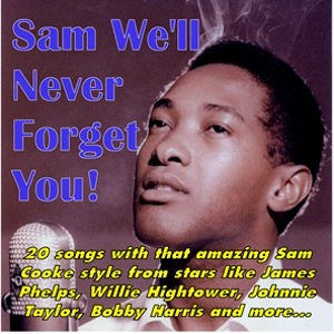 V.A. (SAM WE'LL NEVER FORGET YOU!) / SAM WE'LL NEVER FORGET YOU!