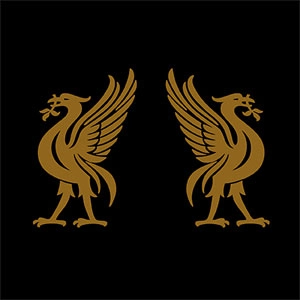 JOEY CAPE:JON SNODGRASS / LIVERBIRDS