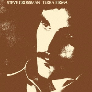 STEVE GROSSMAN / スティーヴ・グロスマン / テラ・ファーマ / TERRA FIRMA