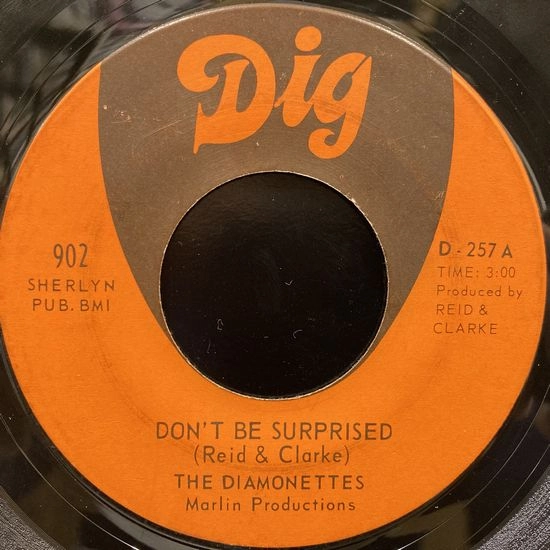 DIAMONETTES / DON'T BE SURPRISED