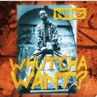 NINE (HIP HOP) / WHUCHA WANT