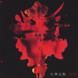TARO KOBAYASHI / 小林太郎 / 鼓動