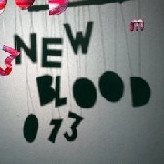 V.A.(ETHERWOOD,ANILE,MR SIZEF...)  / NEW BLOOD 013