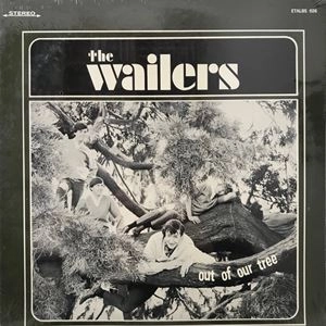 WAILERS (US ROCK) / ウェイラーズ (US ROCK) / OUT OF OUR TREE