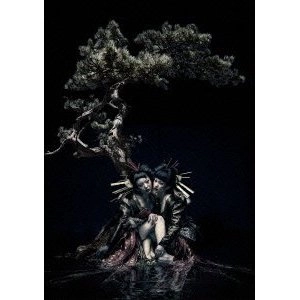 the GazettE / ｌｉｖｅ　ｔｏｕｒ　１２－１３
