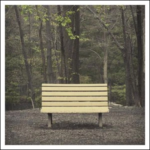 STREETLIGHT MANIFESTO / ストリートライトマニフェスト / HANDS THAT THIEVE