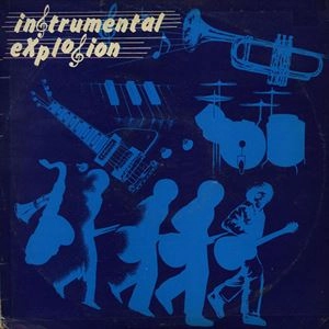V.A. / オムニバス / INSTRUMENTAL EXPLOSION
