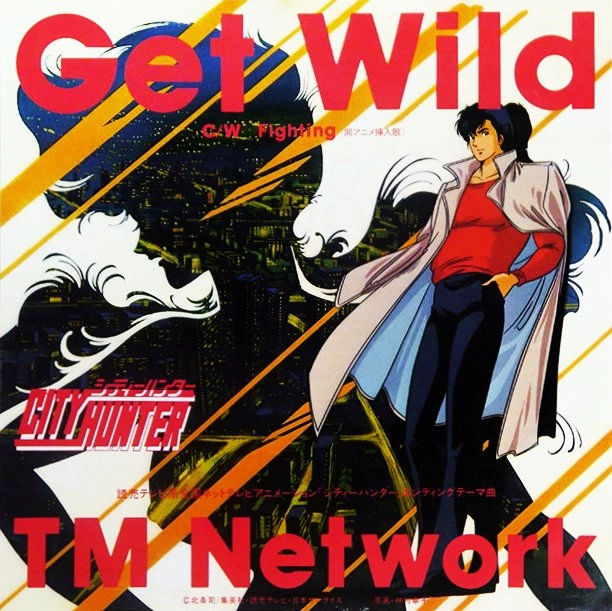 GET WILD / TM NETWORK / ティー・エム・ネットワーク / アニソン