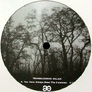TRANSILVANIAN GALAXI / YOU HAVE ALWAYS BEEN THE CARETAKER