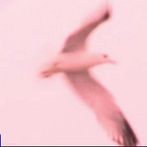 JULIA HOLTER / ジュリア・ホルター / MARIA