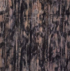 RAINER BOEHM / Familia (180g) (Limited Edition)