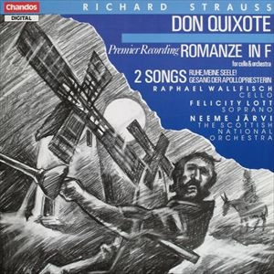 NEEME JARVI / ネーメ・ヤルヴィ / R.STRAUSS:DON QUIXOTE/ROMANZE IN F/TWO SONGS