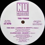 VISION (HOUSE) / LAIDBACK & GROOVY