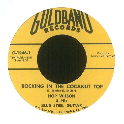 HOP WILSON / ホップ・ウィルソン / ROCKIN' IN THE COCANUT TOP + CHICKEN STUFF / ROCKIN' IN THE COCANUT TOP + CHICKEN STUFF 