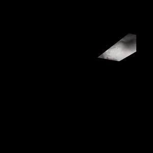 D TIBERIO / LIE