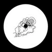 V.A.(TR NCH/MIKE PARKER/WATA IGARASHI) / MARIANA WAX 000