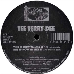 TEE TERRY DEE / THIS IS HOW YA LIKE IT
