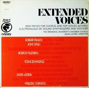V.A. / オムニバス / EXTENDED VOICES