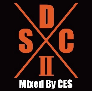 CE$ / Steal Da City Vol.2