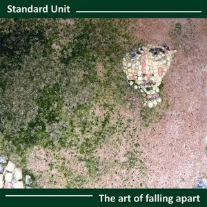 STANDARD UNIT / THE ART OF FALLING APART