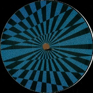 MOVE D / ムーヴ・D / TO THE DISCO 77 + HYBRID MINDS REMIXES