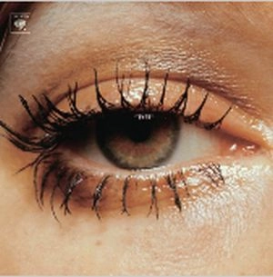 BEADY EYE / ビーディ・アイ / SECOND BITE OF THE APPLE