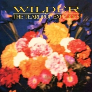 TEARDROP EXPLODES / ティアドロップ・エクスプローズ  / WILDER <2CD/DELUXE EDITION>