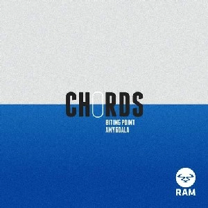 CHORDS (DRUM'N'BASS) / Biting Point/Amygdala