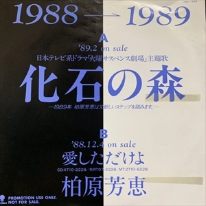 YOSHIE KASHIWABARA / 柏原芳恵 / 化石の森