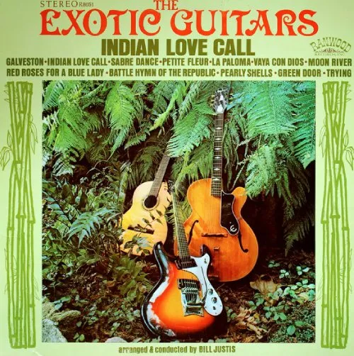 EXOTIC GUITRS / INDIAN LOVE CALL