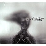 IN THE SILENCE / A FAIR DREAM GONE MAD