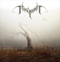 MIND ASYLUM / EODHARIUS