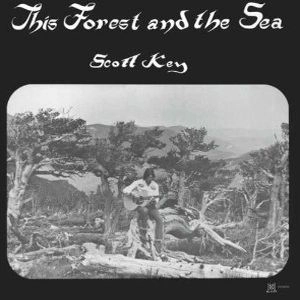 SCOTT KEY / THIS FOREST AND THE SEA