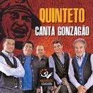 QUINTETO VIOLADO / キンテート・ヴィオラード / CANTA GONZAGAO