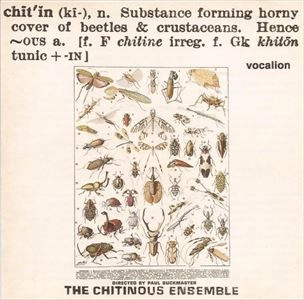 CHITINOUS ENSEMBLE / キティナス