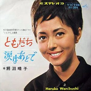 HARUKO WANIBUCHI / 鰐淵晴子 / ともだち