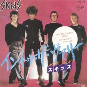 SKIDS / スキッズ / イントゥ･ザ･ヴァリー