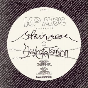 R. STEVIE MOORE / R. スティヴィー・ムーア / DELICATE TENSION