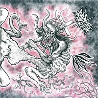 SPLIT (FATAL DESOLATION / OIDAKI) / スプリット